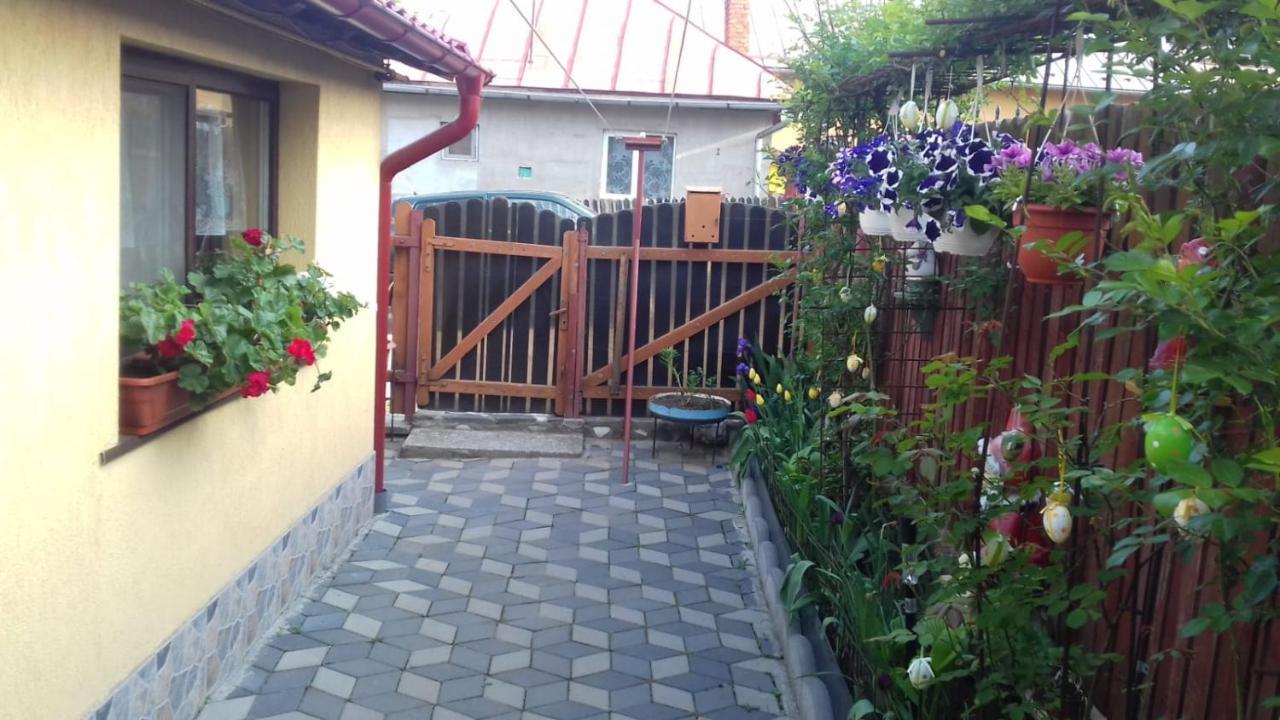 Hotel Casa Doina Buşteni Exteriér fotografie